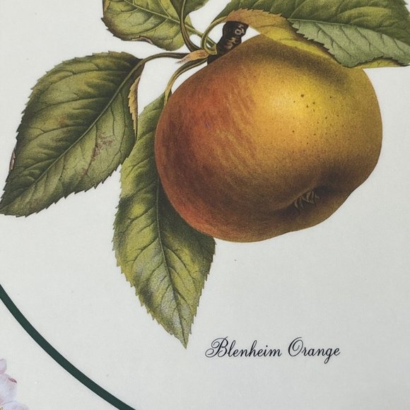 Royal Table Cork-Backed Placemats 12"X9" FRUIT CLASSICS Set of 4 In Box England - Picture 4 of 8